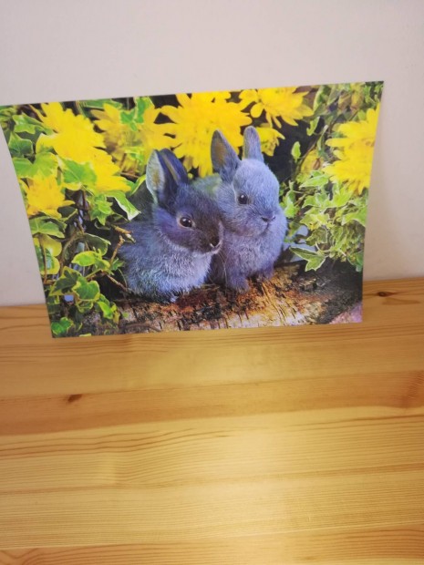 3D asztali alátét könyöklő