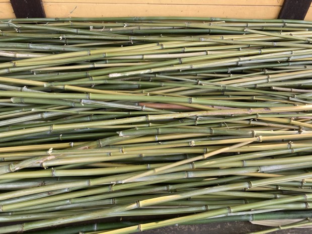 3-4 mteres bambusz rd / kar