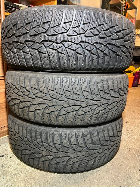 3 db Nokian WR D4 205/55 R16 91H tli gumiabroncs