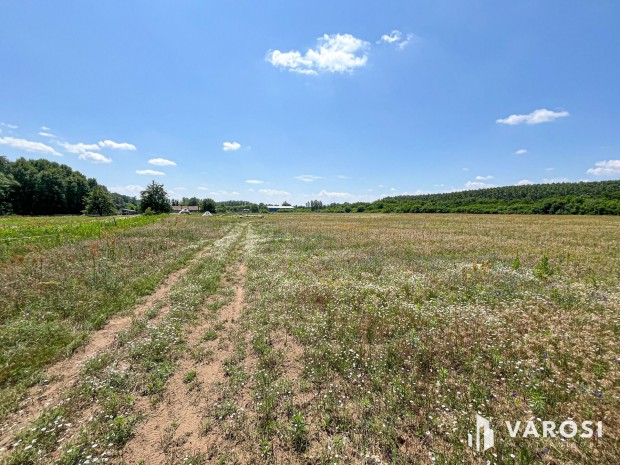 3 hekt�ros ipari ter�let Debrecenben!