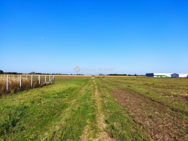 4000 nm-es telek elad� J�szber�ny