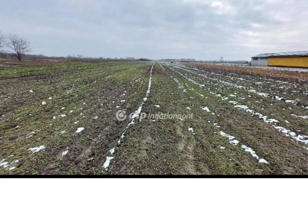 4001 nm-es telek eladó Tiszakécske #4561507