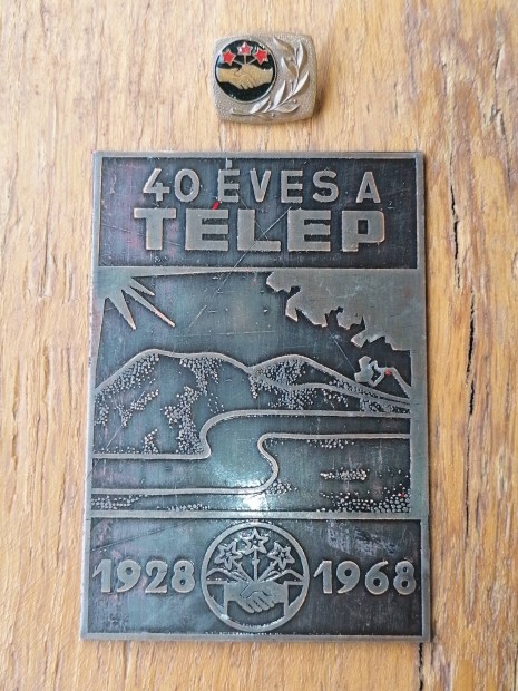 40 ves a telep plaket