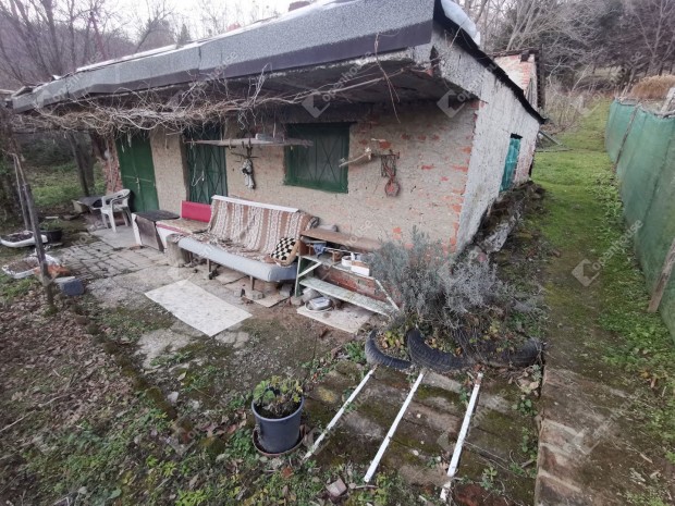 41 nm-es h�z elad� Homokkom�rom