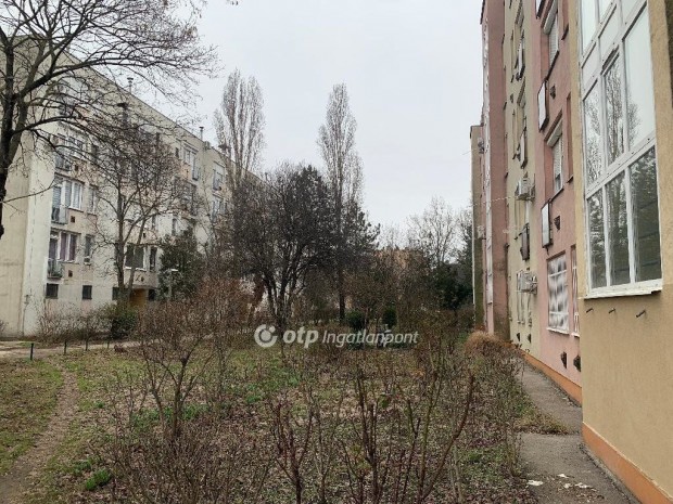 42 nm-es lak�s elad� Szolnok