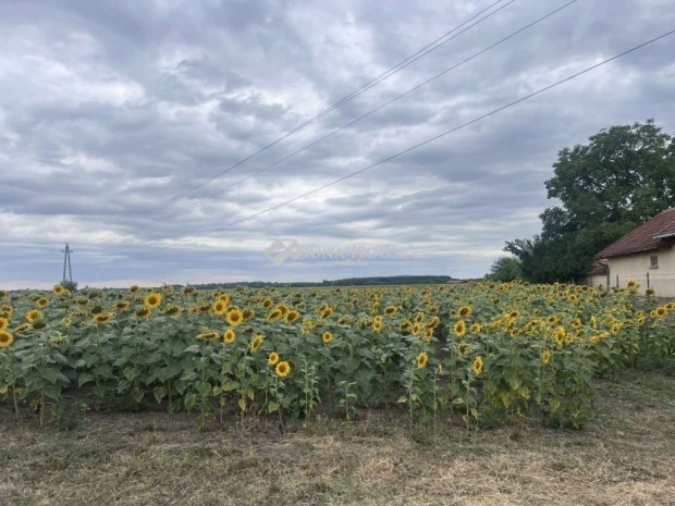 4585 nm-es telek elad� T�pi�gy�rgye