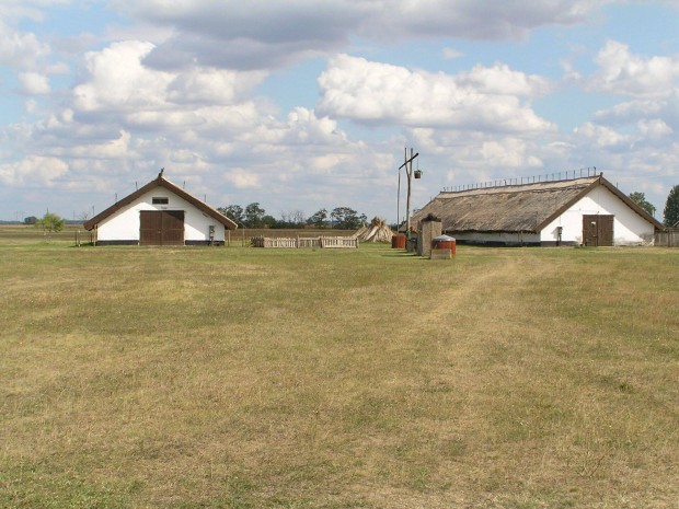 45hektr legel kiad kaszlsra