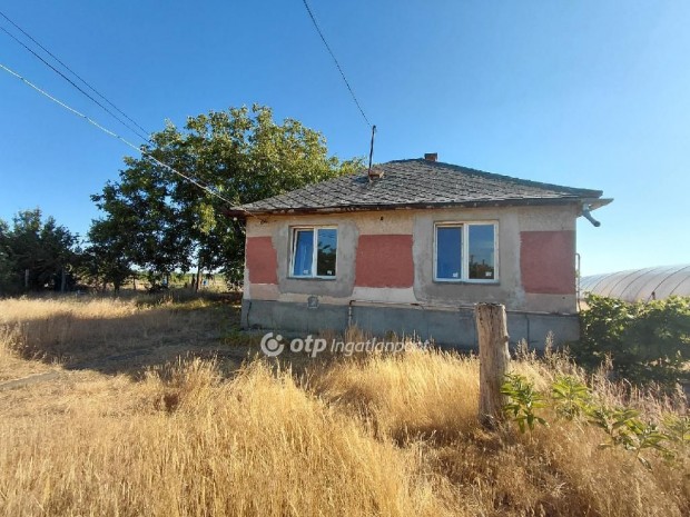 49 nm-es h�z elad� J�szf�nyszaru