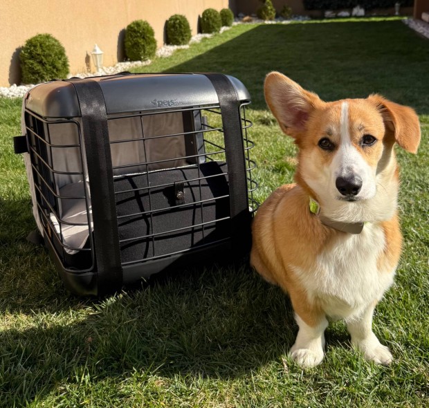 4Pets Caree szlltbox