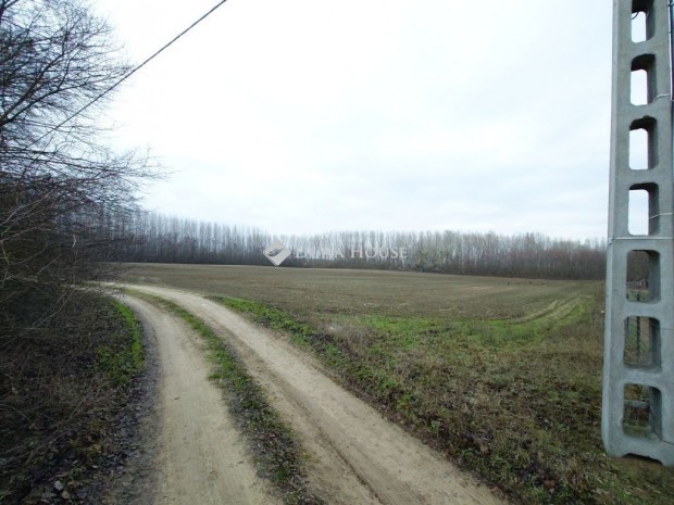 4 es F��t mellett! K�nnyen megk�zel�thet�. Elad� mz�gazdas�gi ter�let