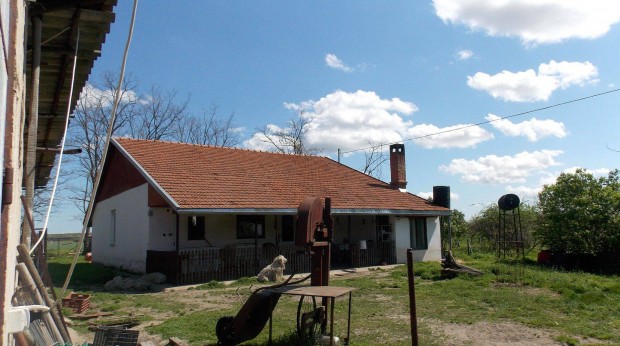 4 h�l�szob�s h�z elad� Csengele k�lter�let�n