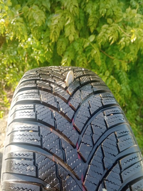 4db Firestone Winter HAWK 4 195/65 R15 91T Tligumi, tli gumi