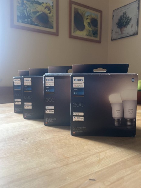 4x2 Philips HUE White 800 flron