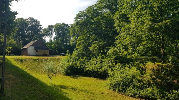 50-100 �ves t�lgyf�s 80.000 m2