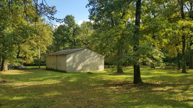 50-100 �ves t�lgyf�s 80.000 m2