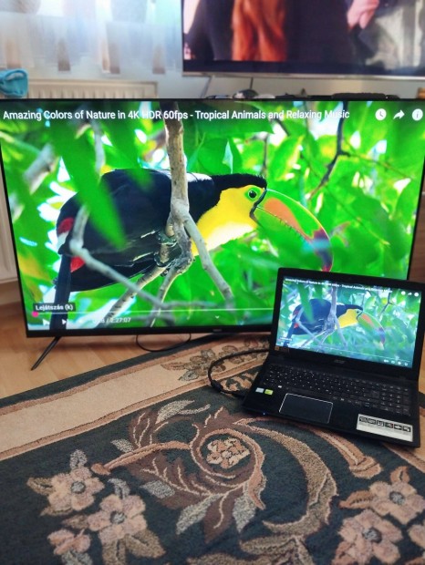 50"-os 125 cm-es 4K-s UHD monitor Nogis Ninf 50 UHD / 3840x2160 pixel