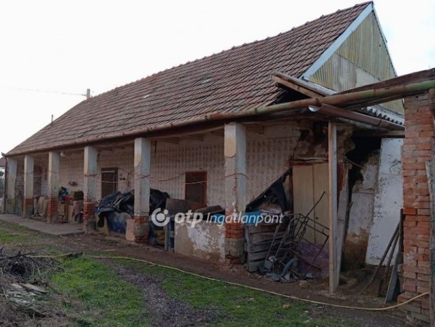 50 nm-es h�z elad� Hort