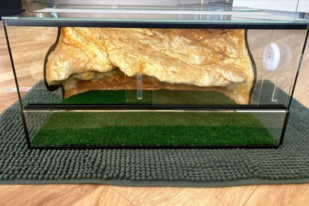 50x30x30 Terrrium
