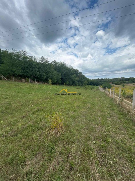 5200 m2-es z�rtkerti telek fest�i k�rnyezetben!