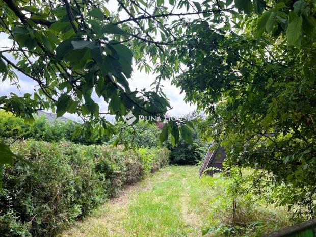 53 nm-es h�z elad� D�legyh�za