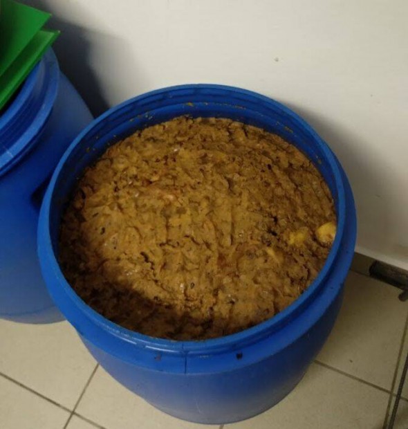 540 liter körte cefre elad!