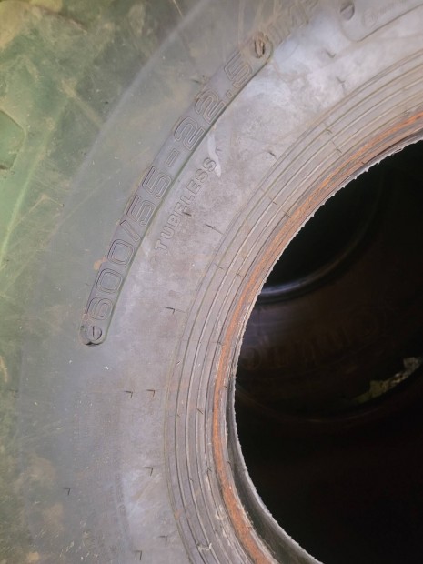 600/55R22.5 Ceat gumik