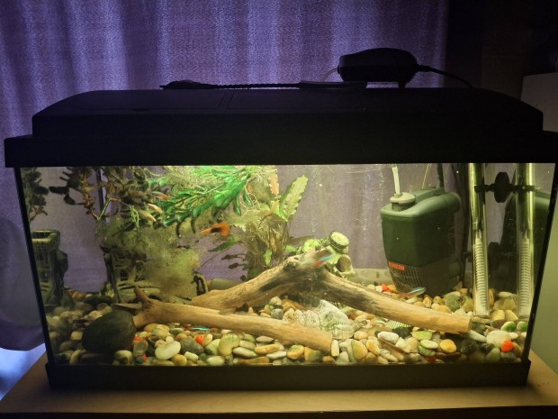 60l Akvrium