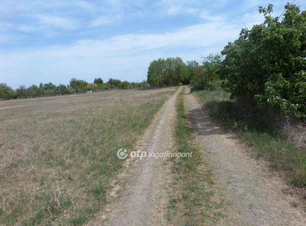 6195 nm-es telek elad� Kecskem�t #5174512