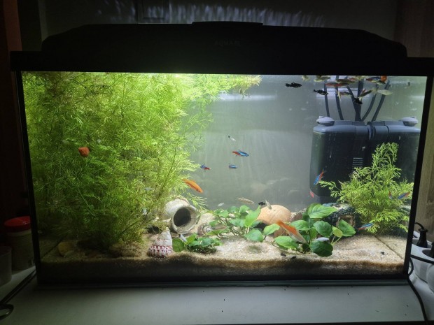 63l akvrium lvilggal