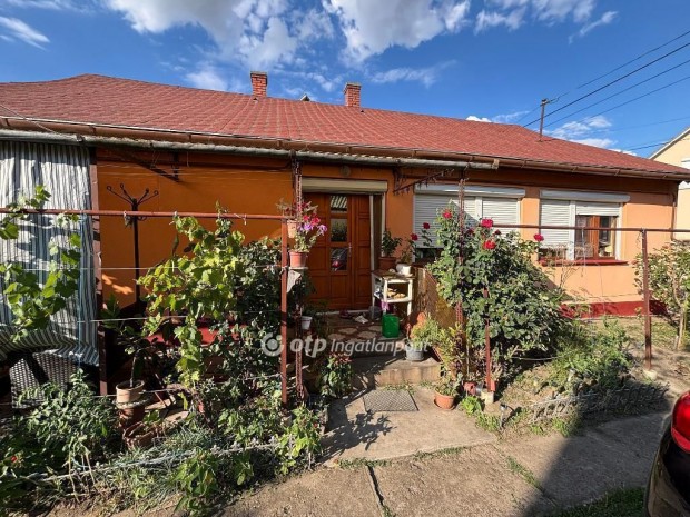 64 nm-es h�z elad� P�sp�klad�ny