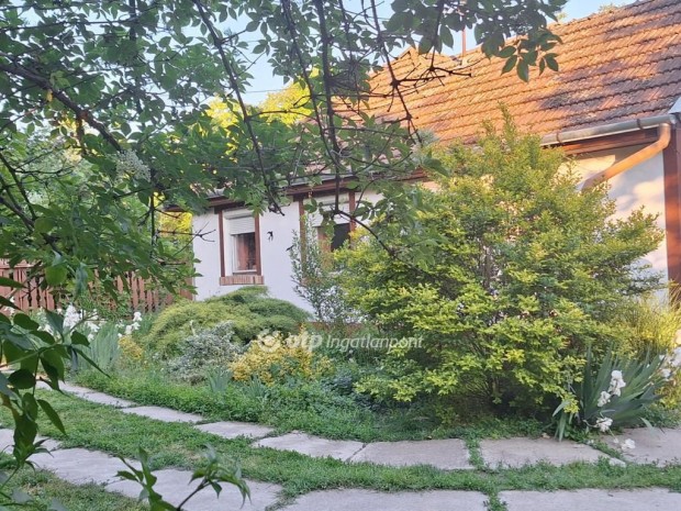 65 nm-es h�z elad� B�k�s