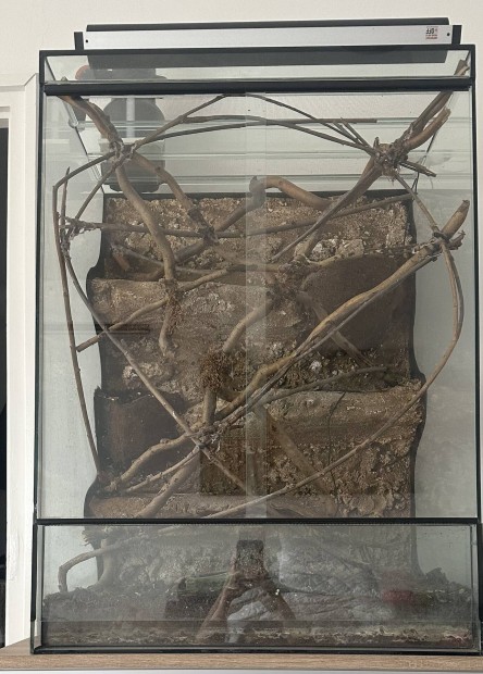 65 x 90 cm terrárium