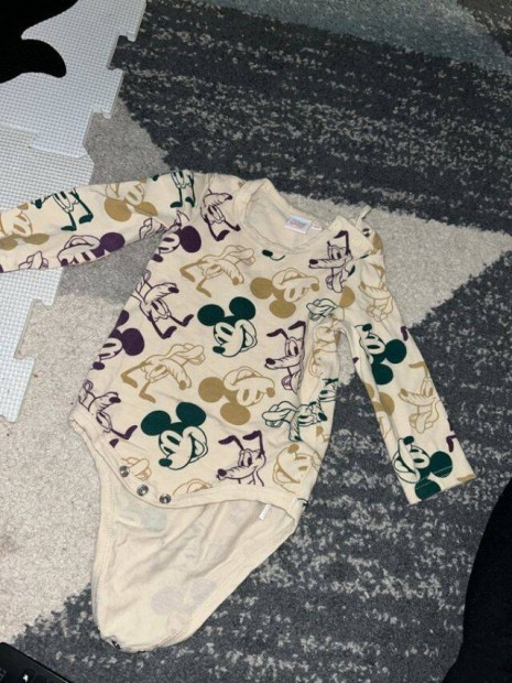 6-9 h Mickey body