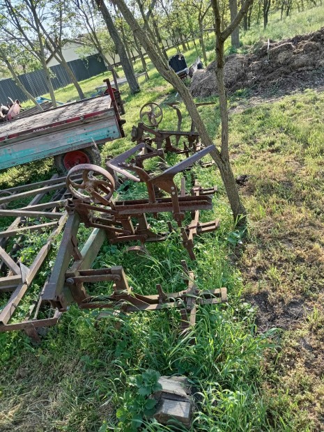 6 soros sork�zm�vel�