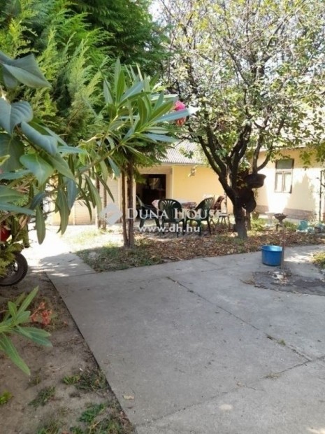 70 nm-es h�z elad� Szeged