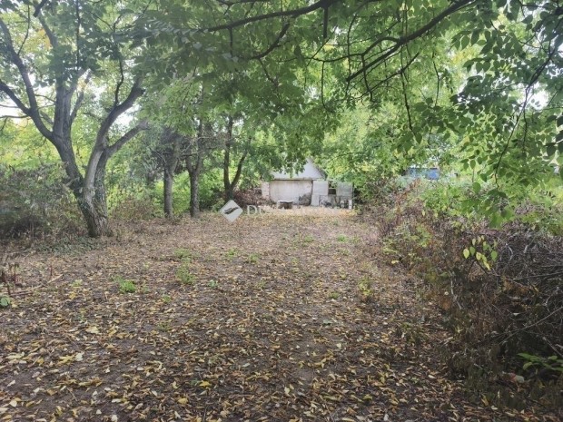 745 nm-es h�z elad� Gy�mr�