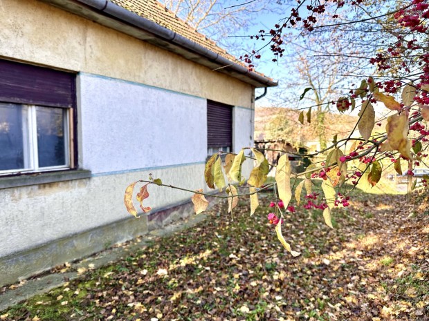 75 nm-es fel�j�tand� csal�di h�z 1209 nm-es ter�lettel