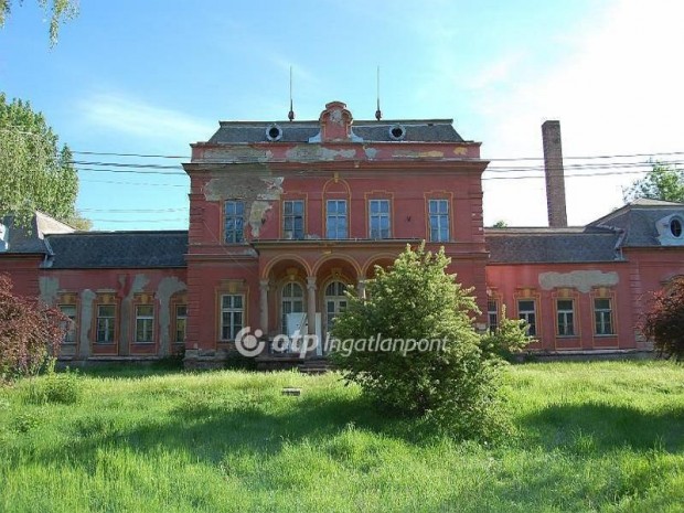 800 nm-es h�z elad� Cs�ny