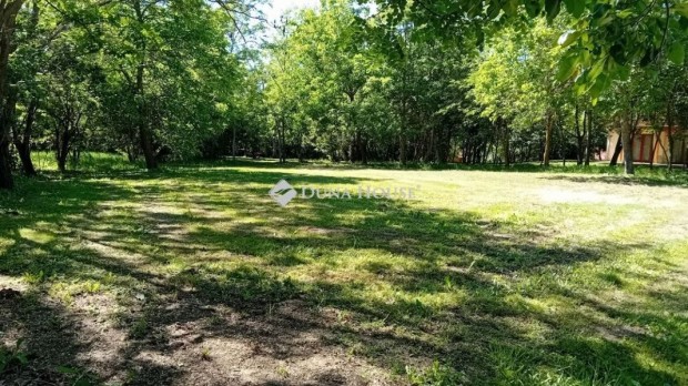 832 nm-es telek elad� Sz�l�d