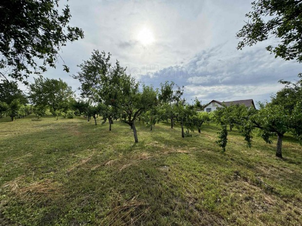 8335 m Etyeken  nem mindennapi lehet�s�g a borvid�ken