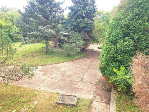 8500 m2 belterleti telek, dl, ingatlan