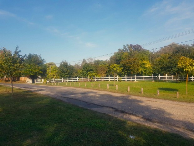 8500 m2 belterületi telek/üdülő/ingatlan