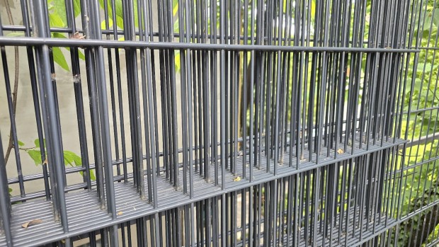 8db Prémium 2D táblás kerítéselem 2,5mx1,83m antracit színben eladó