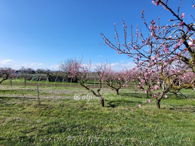 939 nm-es telek elad� Si�fok