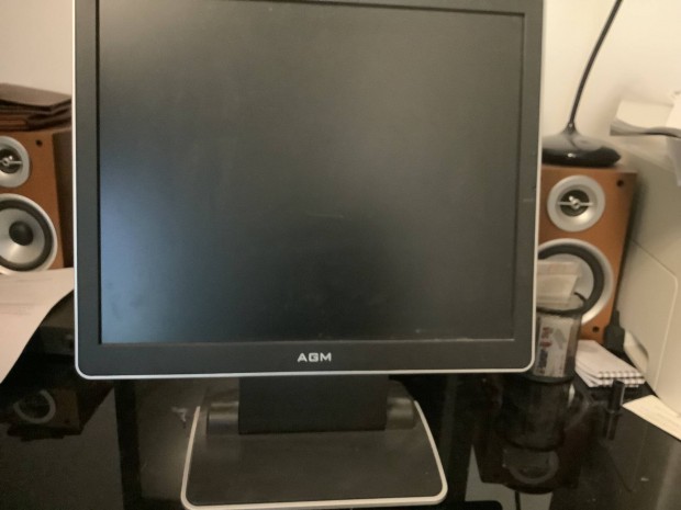 AGM 19S monitor