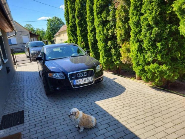 AUDI A4 3.0 V6 TDI quattro