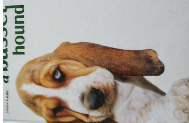 A Basset Hound