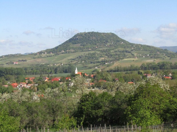 A Kli-medence szln, a Tti-hegyen, zldvezetben elad!