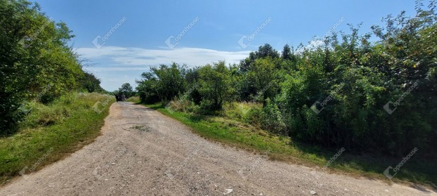 A Kiskutasi hegyen telek elad akcis ron