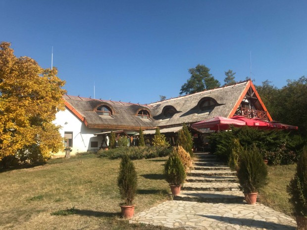 A Kopp�ny Fogad� keres fiatal, f�rfi munkat�rsat